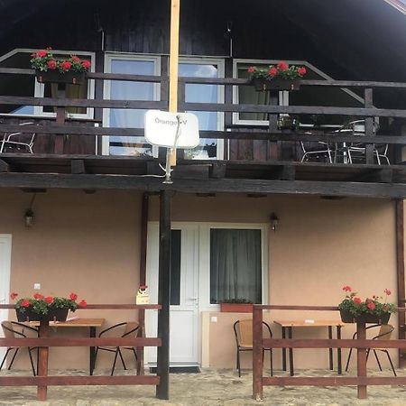 Casa Albert Valea Avrigului Esterno foto