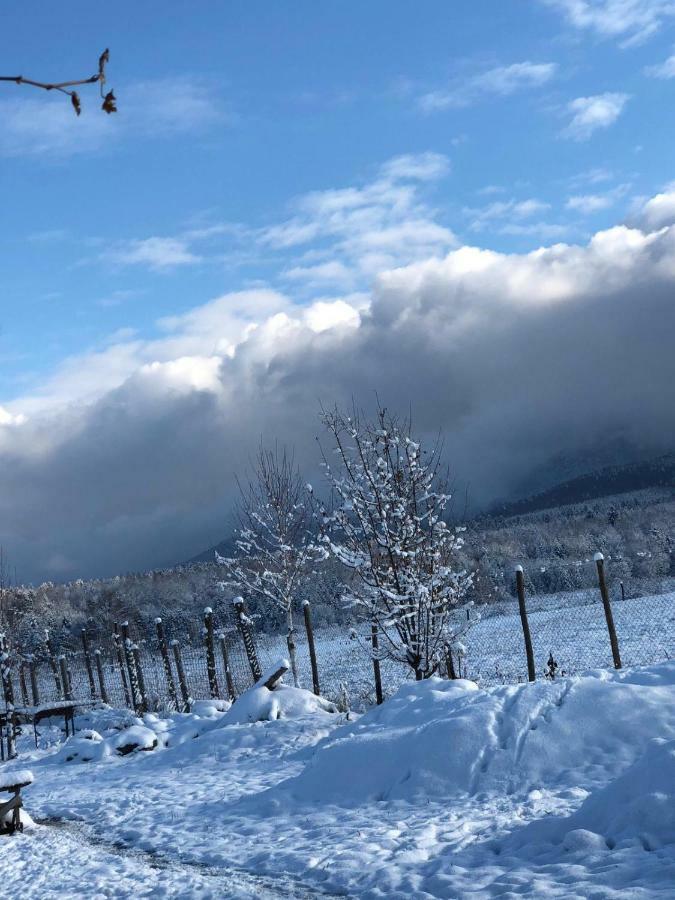 Casa Albert Valea Avrigului Esterno foto