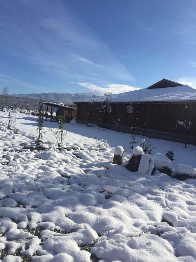 Casa Albert Valea Avrigului Esterno foto