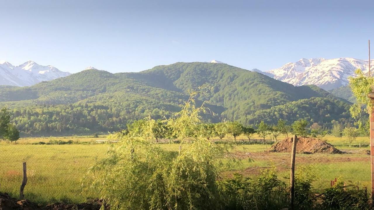 Casa Albert Valea Avrigului Esterno foto