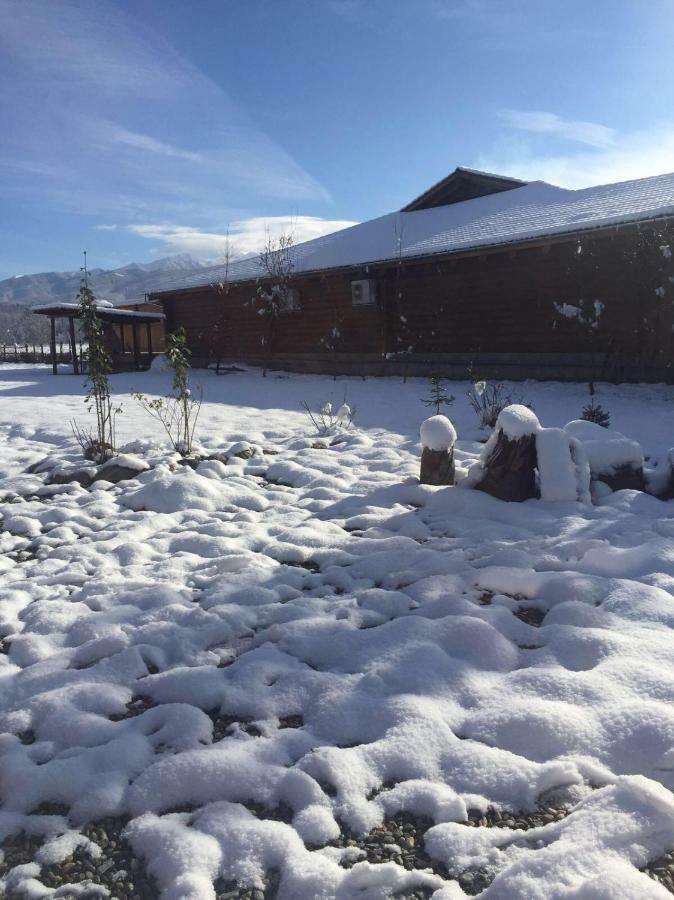 Casa Albert Valea Avrigului Esterno foto