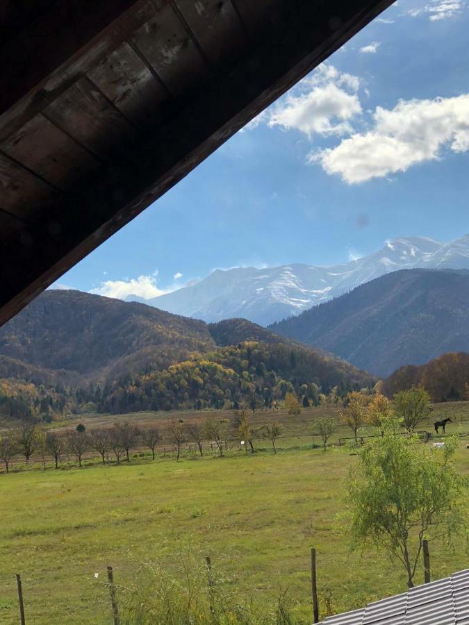Casa Albert Valea Avrigului Esterno foto