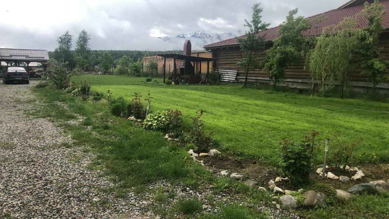 Casa Albert Valea Avrigului Esterno foto